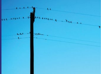 Should I Unplug my Appliances And Other Energy Efficiency FAQs